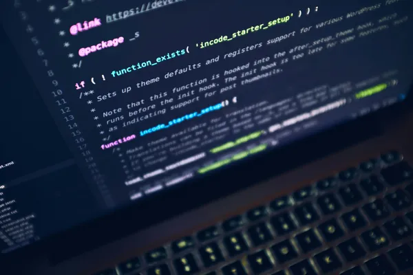 Desarrollo de Sistemas Web